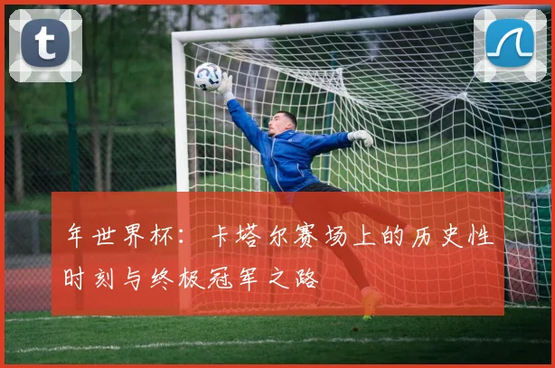 年世界杯：卡塔尔赛场上的历史性时刻与终极冠军之路