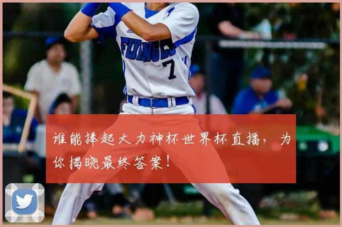 谁能捧起大力神杯世界杯直播，为你揭晓最终答案！