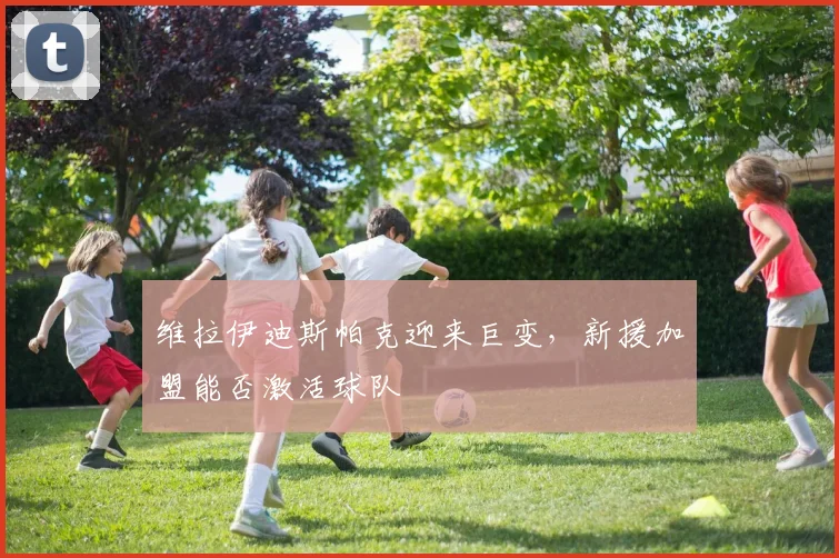 维拉伊迪斯帕克迎来巨变,新援加盟能否激活球队