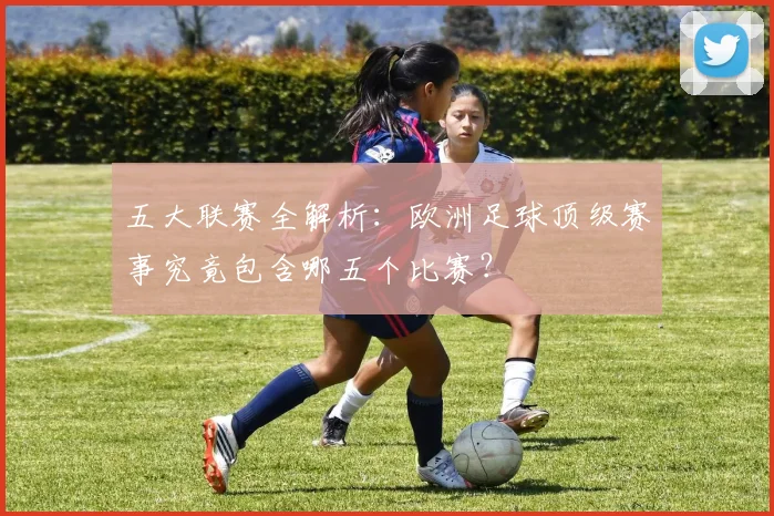 五大联赛全解析：欧洲足球顶级赛事究竟包含哪五个比赛？